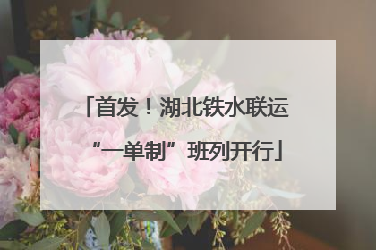 首发！湖北铁水联运“一单制”班列开行